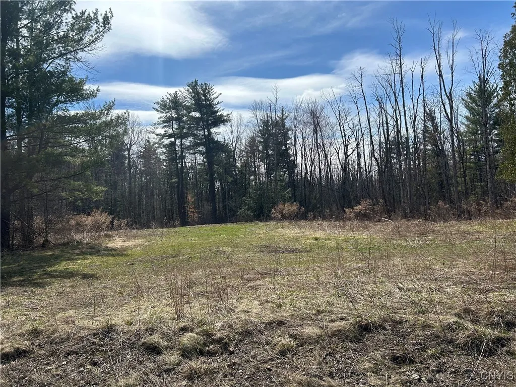 1928 Church Road, Lysander, New York 13027, Lysander, New York 13027, ,Land,Closed,1928 Church Road, Lysander, New York 13027,S1598429