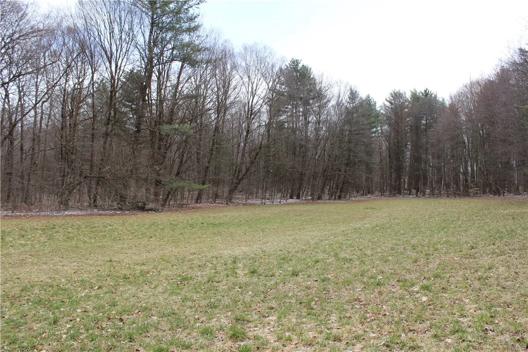 204 Ives Settlement Road, Guilford, New York 13780, Guilford, New York 13780, 2 Bedrooms Bedrooms, 4 Rooms Rooms,1 BathroomBathrooms,Residential,For Sale,204 Ives Settlement Road, Guilford, New York 13780,R1598507