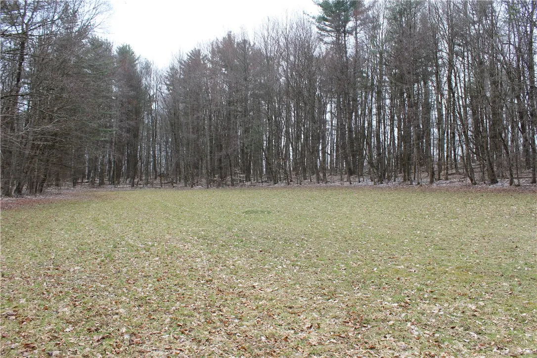 204 Ives Settlement Road, Guilford, New York 13780, Guilford, New York 13780, 2 Bedrooms Bedrooms, 4 Rooms Rooms,1 BathroomBathrooms,Residential,For Sale,204 Ives Settlement Road, Guilford, New York 13780,R1598507
