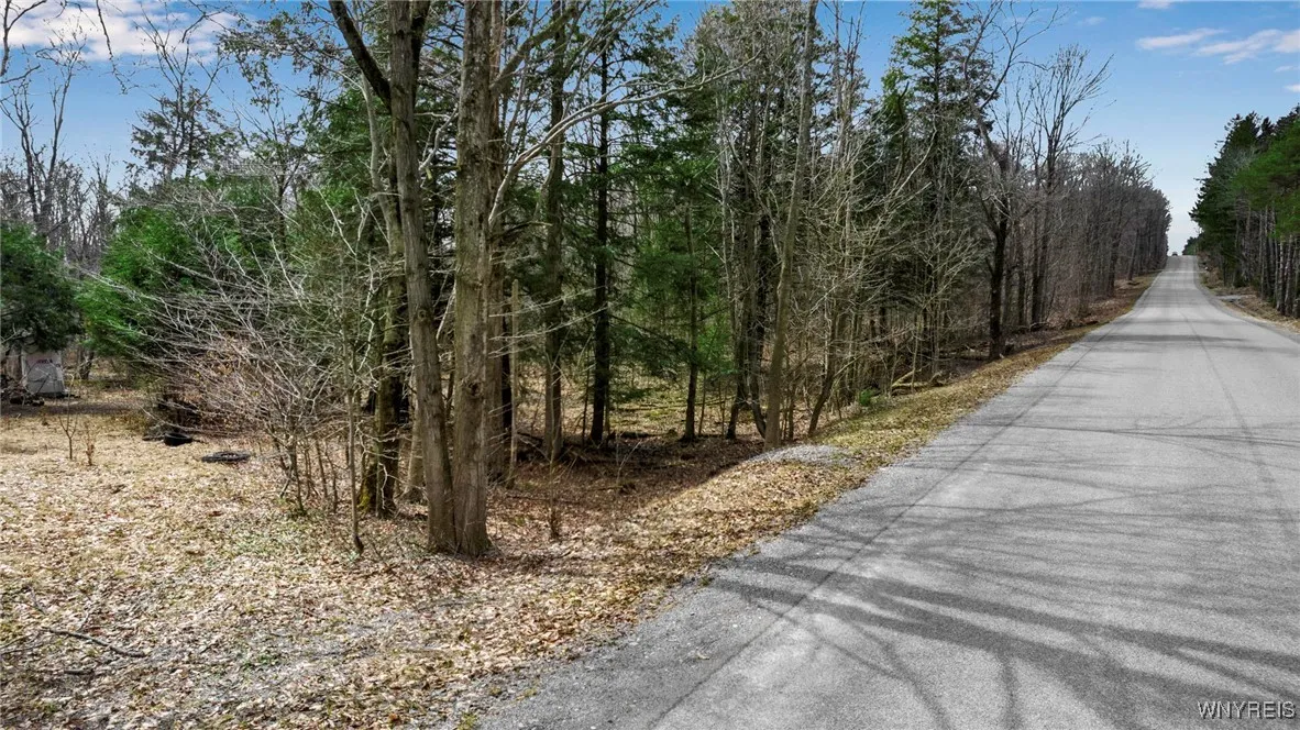 3436 Dunham Road, Orangeville, New York 14569, Orangeville, New York 14569, ,Land,For Sale,3436 Dunham Road, Orangeville, New York 14569,B1595251