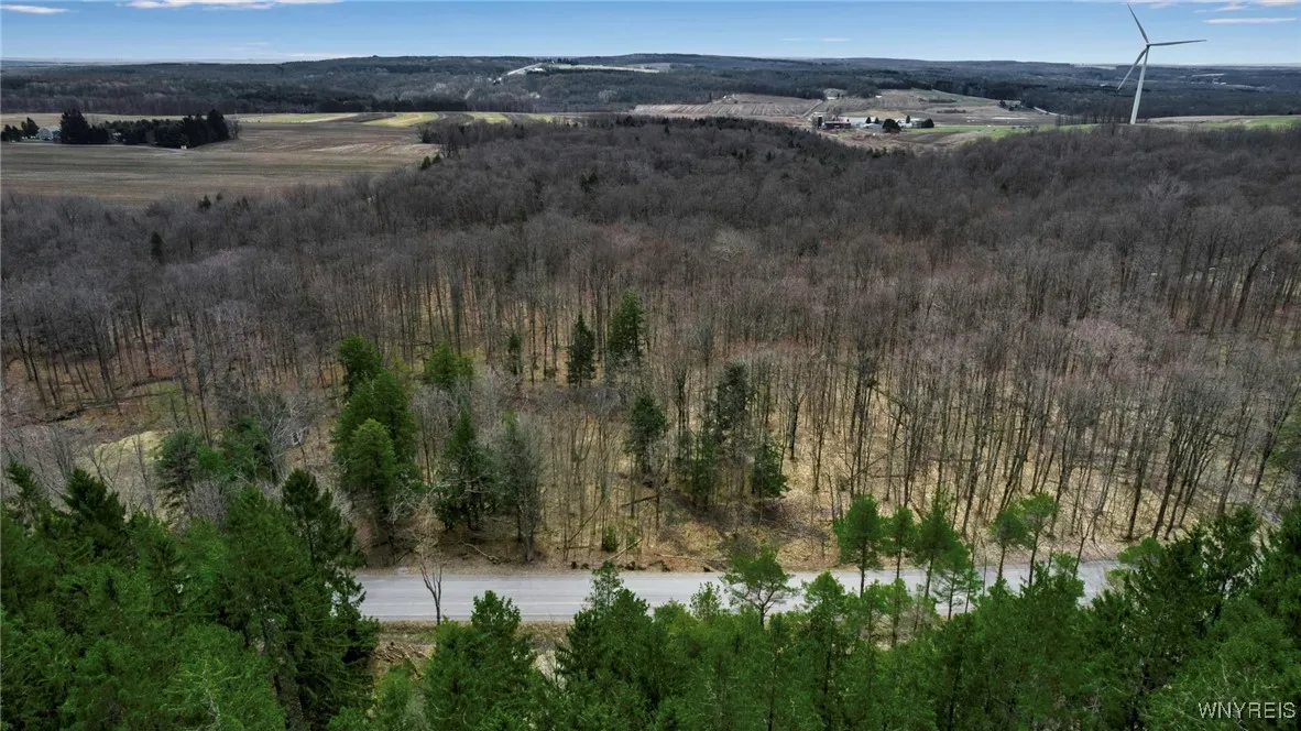 3436 Dunham Road, Orangeville, New York 14569, Orangeville, New York 14569, ,Land,For Sale,3436 Dunham Road, Orangeville, New York 14569,B1595251