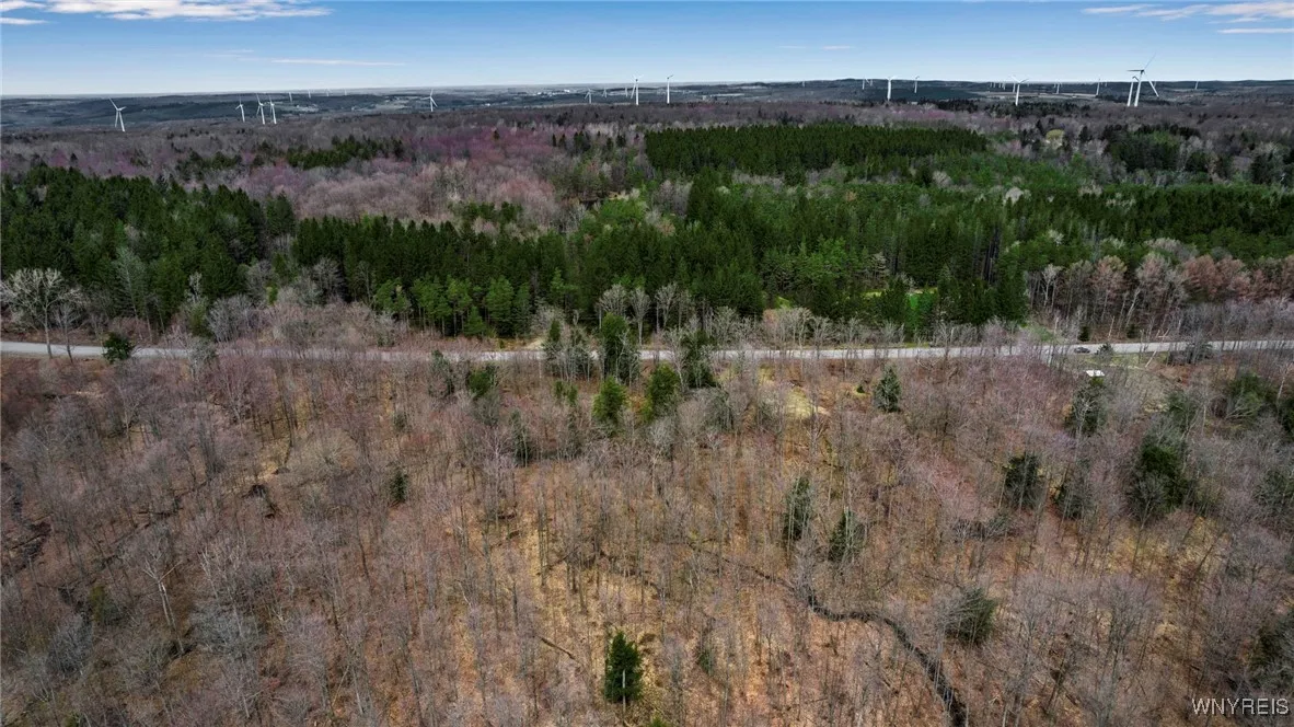 3436 Dunham Road, Orangeville, New York 14569, Orangeville, New York 14569, ,Land,For Sale,3436 Dunham Road, Orangeville, New York 14569,B1595251