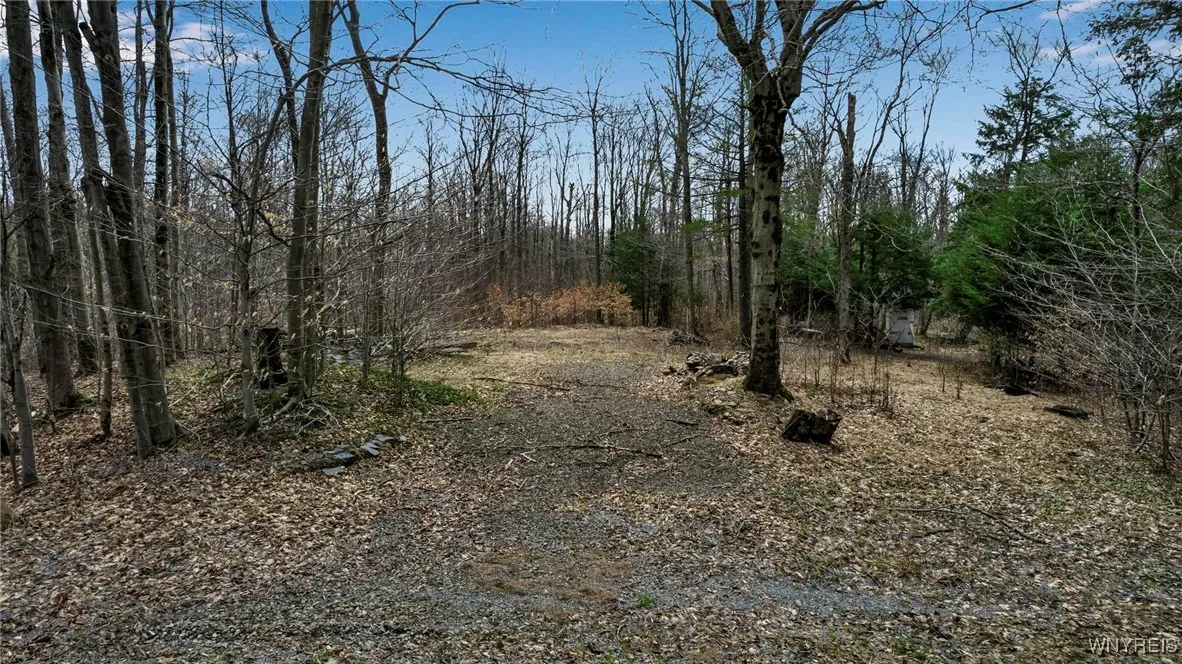 3436 Dunham Road, Orangeville, New York 14569, Orangeville, New York 14569, ,Land,For Sale,3436 Dunham Road, Orangeville, New York 14569,B1595251