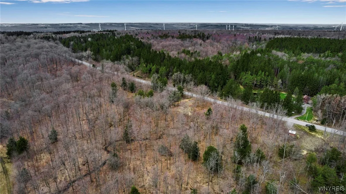 3436 Dunham Road, Orangeville, New York 14569, Orangeville, New York 14569, ,Land,For Sale,3436 Dunham Road, Orangeville, New York 14569,B1595251