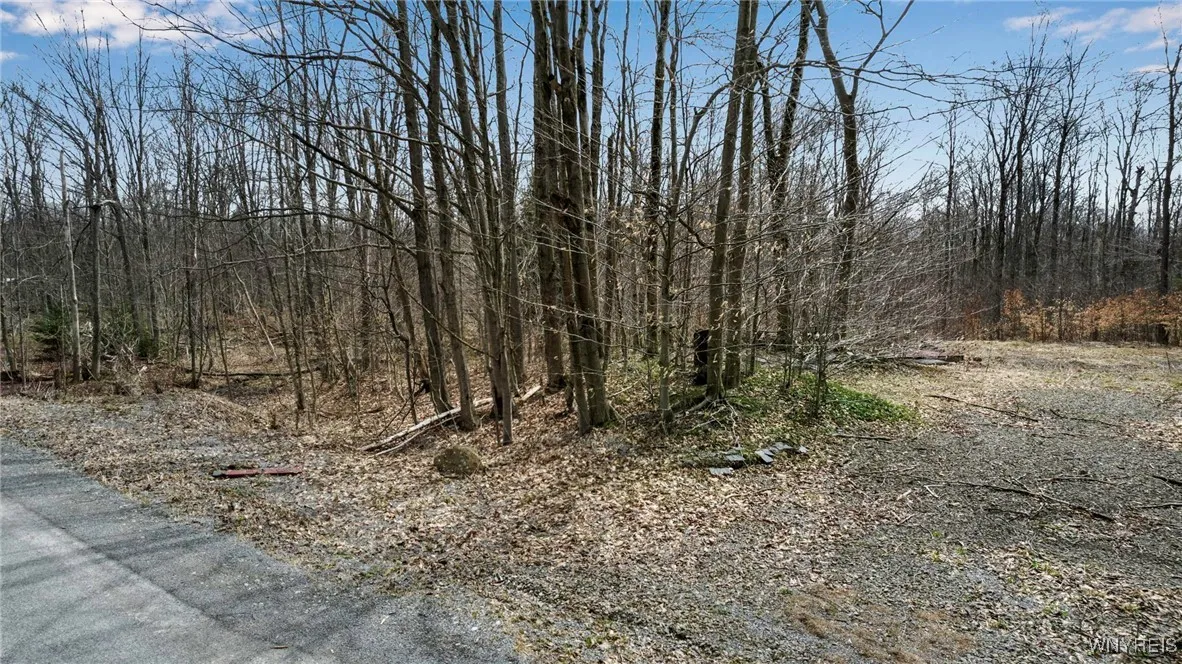 3436 Dunham Road, Orangeville, New York 14569, Orangeville, New York 14569, ,Land,For Sale,3436 Dunham Road, Orangeville, New York 14569,B1595251