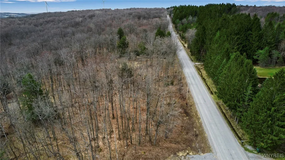 3436 Dunham Road, Orangeville, New York 14569, Orangeville, New York 14569, ,Land,For Sale,3436 Dunham Road, Orangeville, New York 14569,B1595251