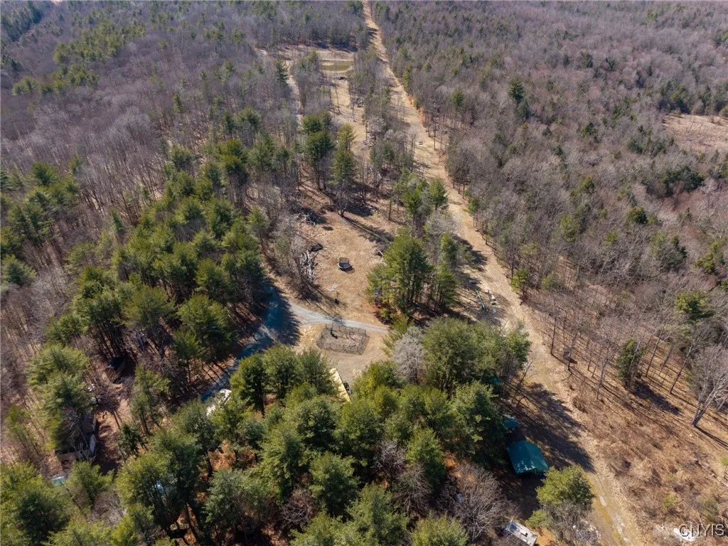 00 Black Ash Road, Woodhull, New York 14898, Woodhull, New York 14898, ,Land,For Sale,00 Black Ash Road, Woodhull, New York 14898,S1598733