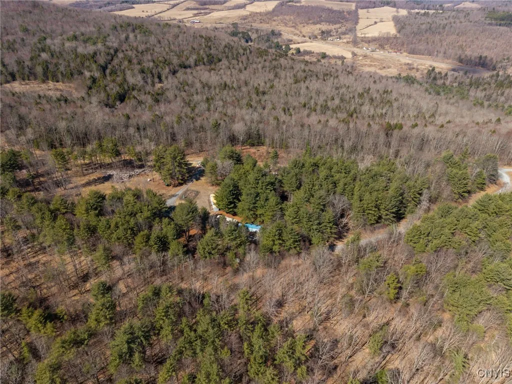 00 Black Ash Road, Woodhull, New York 14898, Woodhull, New York 14898, ,Land,For Sale,00 Black Ash Road, Woodhull, New York 14898,S1598733