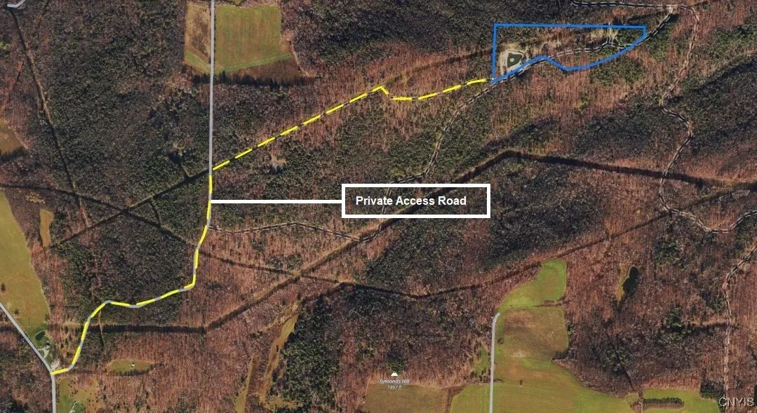 00 Black Ash Road, Woodhull, New York 14898, Woodhull, New York 14898, ,Land,For Sale,00 Black Ash Road, Woodhull, New York 14898,S1598733