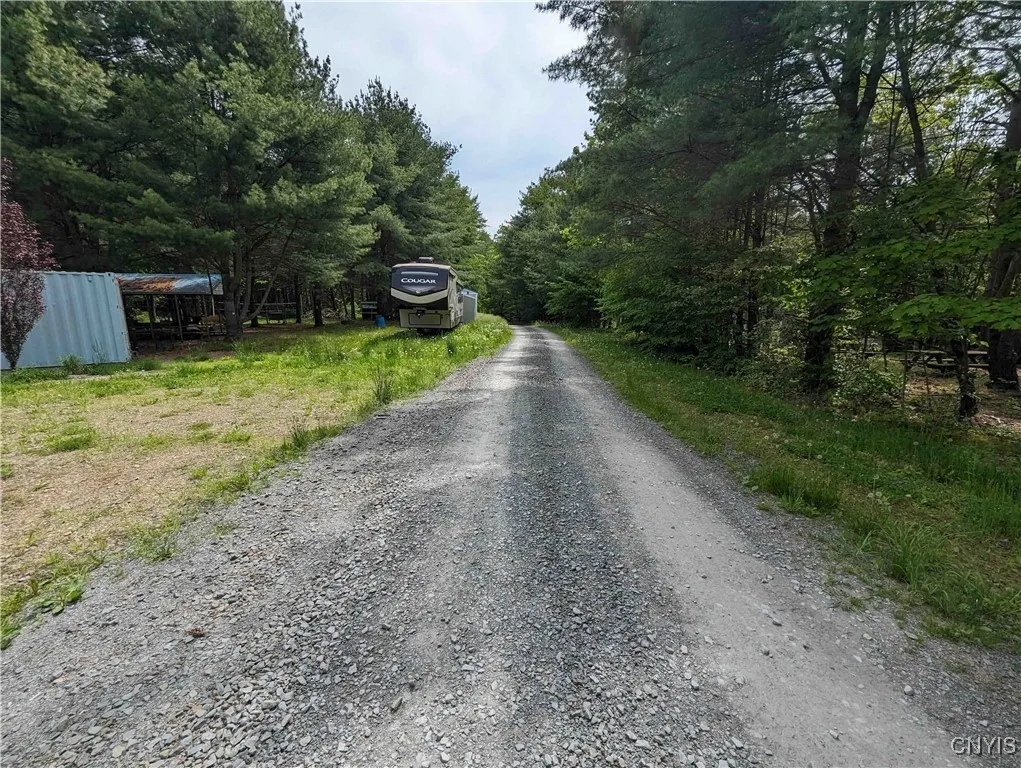 00 Black Ash Road, Woodhull, New York 14898, Woodhull, New York 14898, ,Land,For Sale,00 Black Ash Road, Woodhull, New York 14898,S1598733
