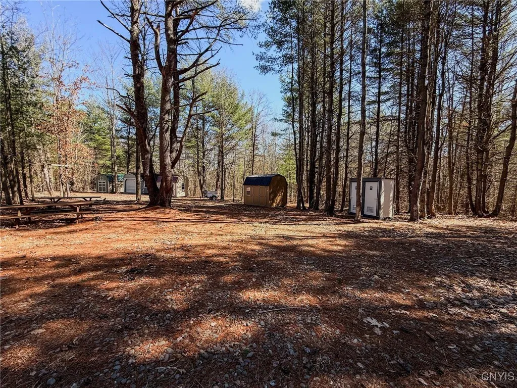 00 Black Ash Road, Woodhull, New York 14898, Woodhull, New York 14898, ,Land,For Sale,00 Black Ash Road, Woodhull, New York 14898,S1598733