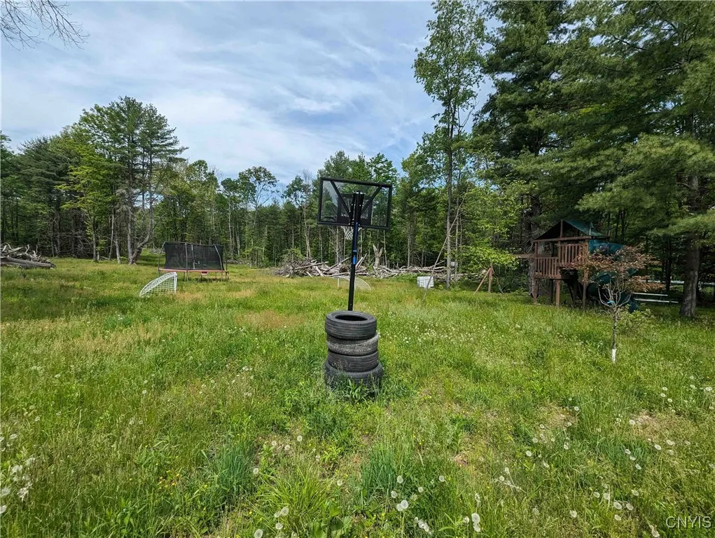 00 Black Ash Road, Woodhull, New York 14898, Woodhull, New York 14898, ,Land,For Sale,00 Black Ash Road, Woodhull, New York 14898,S1598733
