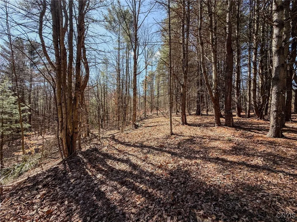 00 Black Ash Road, Woodhull, New York 14898, Woodhull, New York 14898, ,Land,For Sale,00 Black Ash Road, Woodhull, New York 14898,S1598733