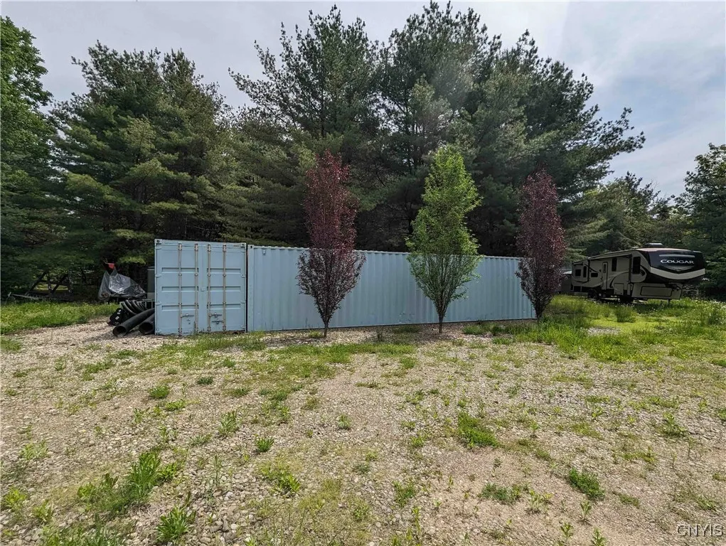 00 Black Ash Road, Woodhull, New York 14898, Woodhull, New York 14898, ,Land,For Sale,00 Black Ash Road, Woodhull, New York 14898,S1598733