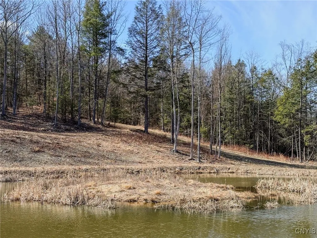00 Black Ash Road, Woodhull, New York 14898, Woodhull, New York 14898, ,Land,For Sale,00 Black Ash Road, Woodhull, New York 14898,S1598733
