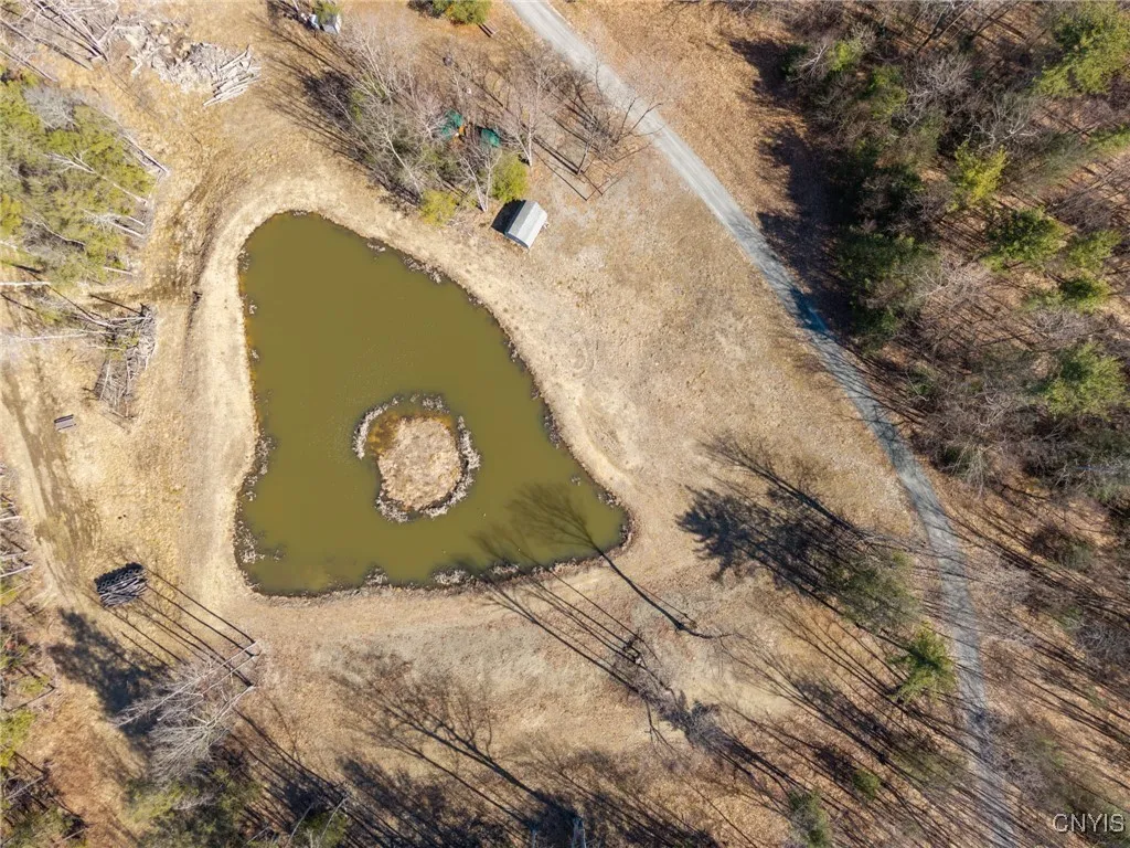 00 Black Ash Road, Woodhull, New York 14898, Woodhull, New York 14898, ,Land,For Sale,00 Black Ash Road, Woodhull, New York 14898,S1598733