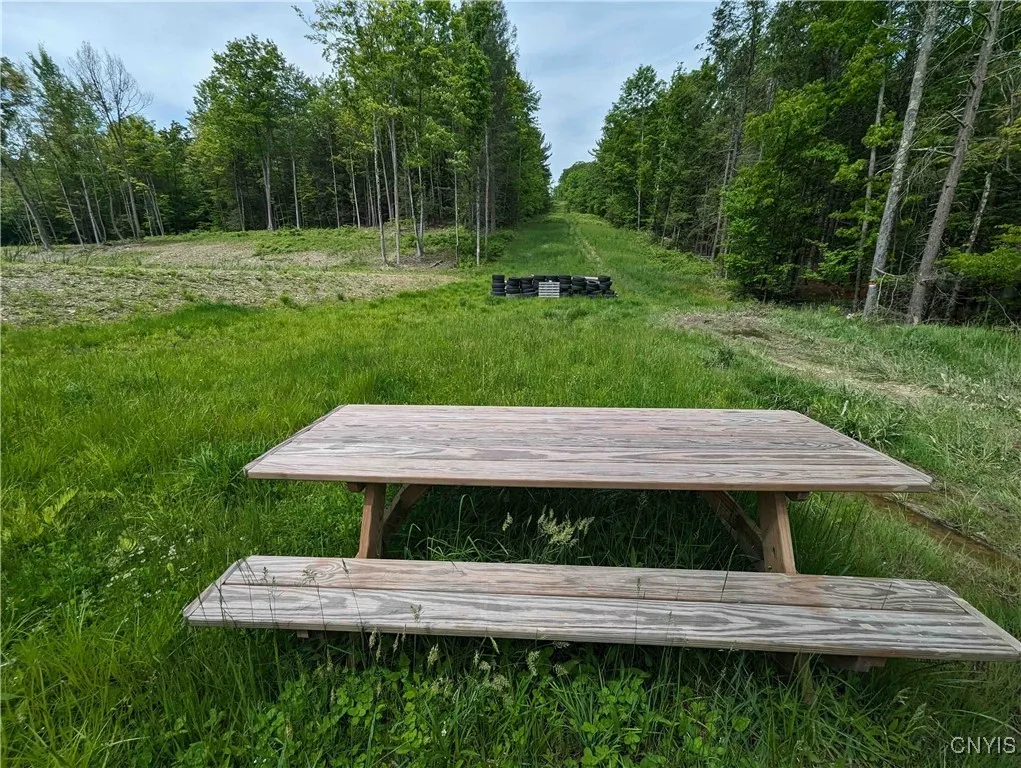 00 Black Ash Road, Woodhull, New York 14898, Woodhull, New York 14898, ,Land,For Sale,00 Black Ash Road, Woodhull, New York 14898,S1598733
