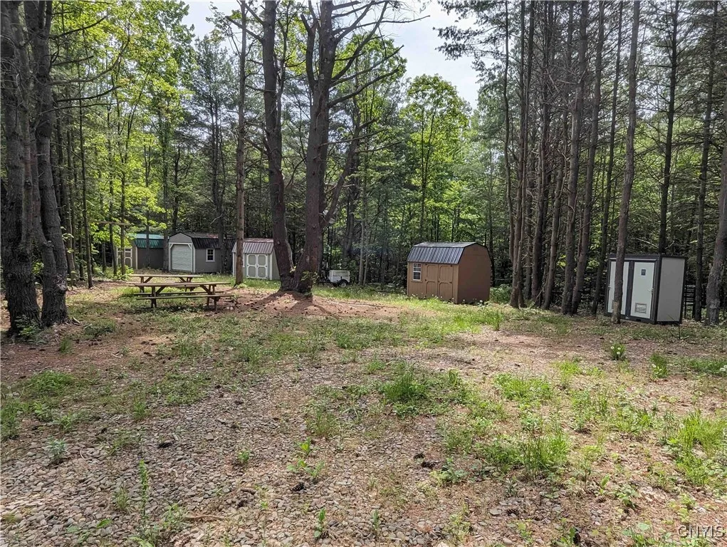 00 Black Ash Road, Woodhull, New York 14898, Woodhull, New York 14898, ,Land,For Sale,00 Black Ash Road, Woodhull, New York 14898,S1598733