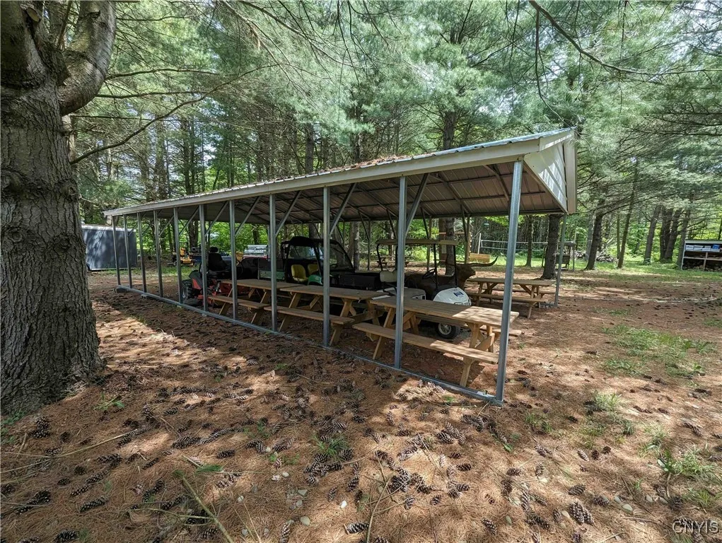 00 Black Ash Road, Woodhull, New York 14898, Woodhull, New York 14898, ,Land,For Sale,00 Black Ash Road, Woodhull, New York 14898,S1598733