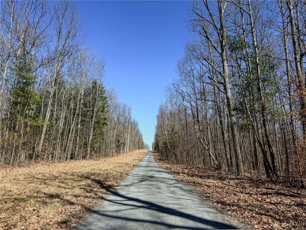00 Black Ash Road, Woodhull, New York 14898, Woodhull, New York 14898, ,Land,For Sale,00 Black Ash Road, Woodhull, New York 14898,S1598733