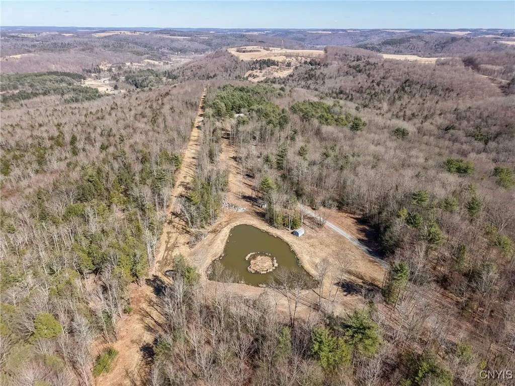 00 Black Ash Road, Woodhull, New York 14898, Woodhull, New York 14898, ,Land,For Sale,00 Black Ash Road, Woodhull, New York 14898,S1598733