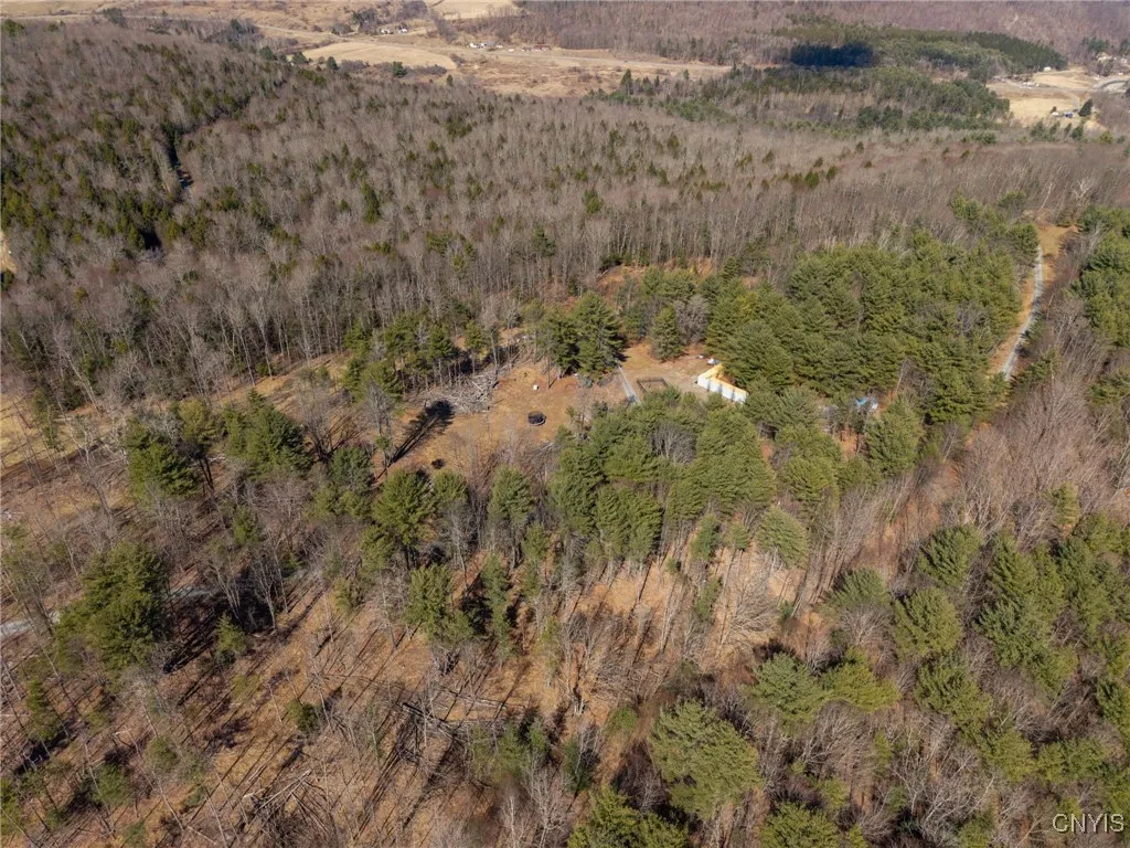 00 Black Ash Road, Woodhull, New York 14898, Woodhull, New York 14898, ,Land,For Sale,00 Black Ash Road, Woodhull, New York 14898,S1598733