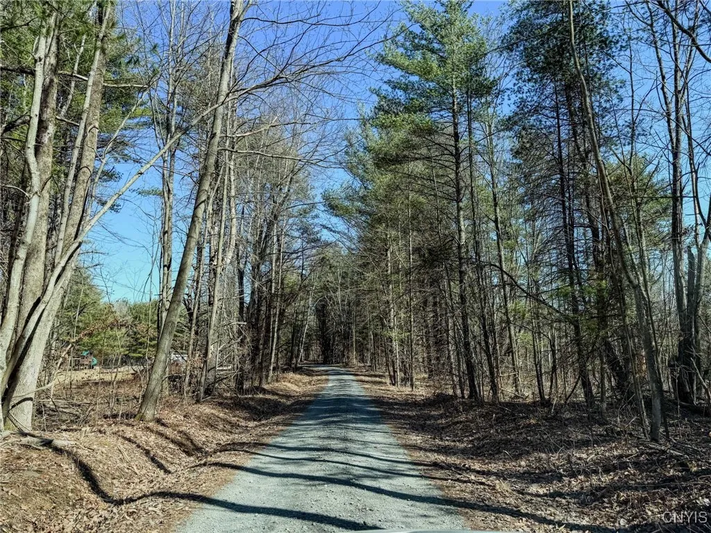 00 Black Ash Road, Woodhull, New York 14898, Woodhull, New York 14898, ,Land,For Sale,00 Black Ash Road, Woodhull, New York 14898,S1598733