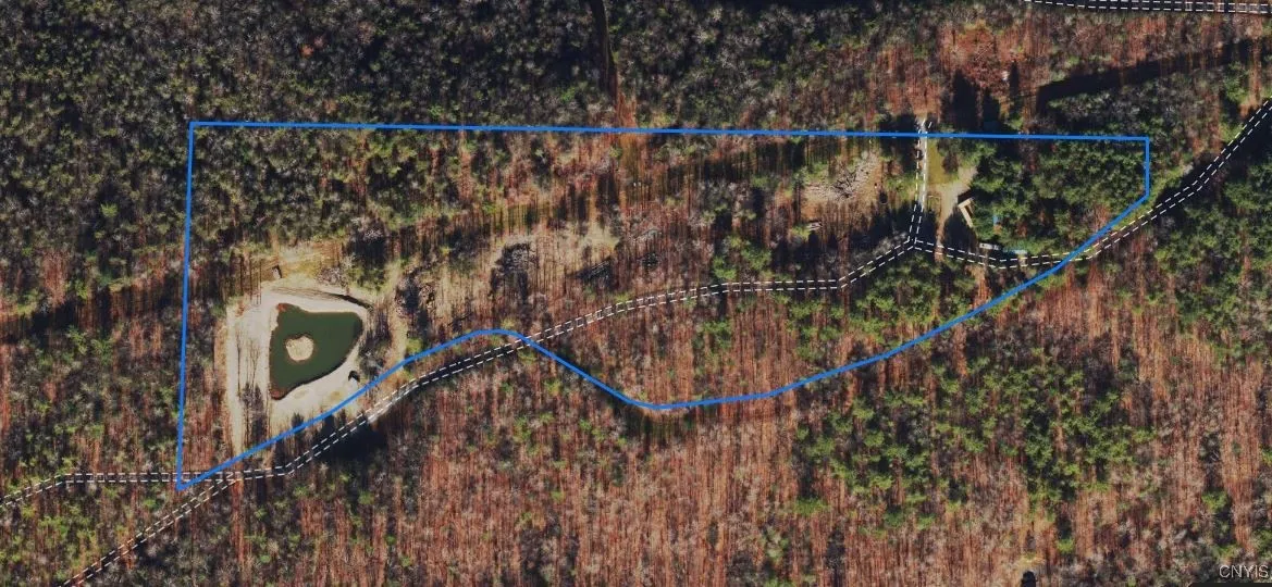 00 Black Ash Road, Woodhull, New York 14898, Woodhull, New York 14898, ,Land,For Sale,00 Black Ash Road, Woodhull, New York 14898,S1598733