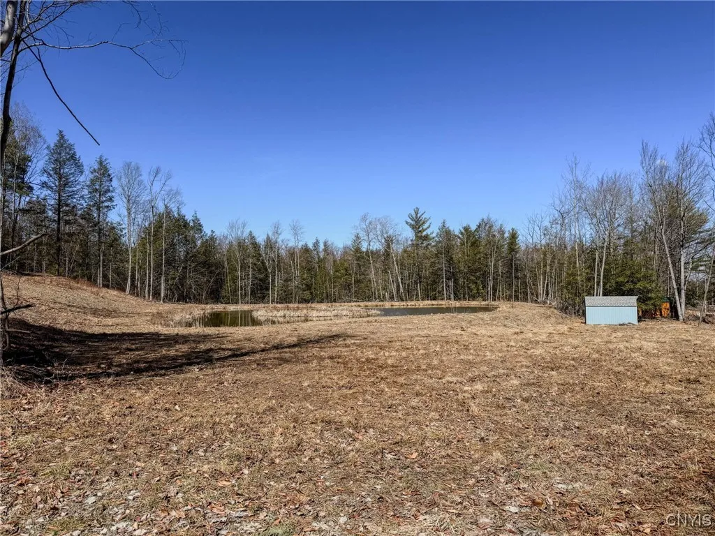 00 Black Ash Road, Woodhull, New York 14898, Woodhull, New York 14898, ,Land,For Sale,00 Black Ash Road, Woodhull, New York 14898,S1598733