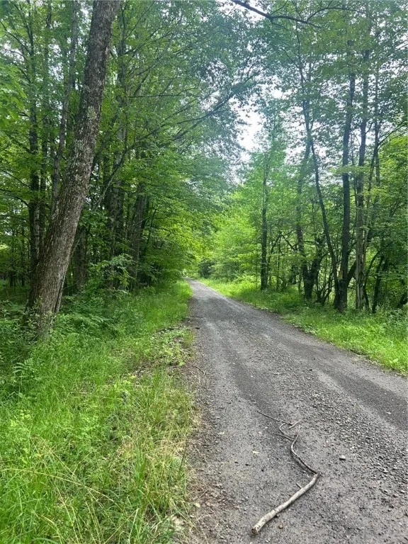 South Road, Plymouth, New York 13832, Plymouth, New York 13832, ,Land,For Sale,South Road, Plymouth, New York 13832,0,R1598632