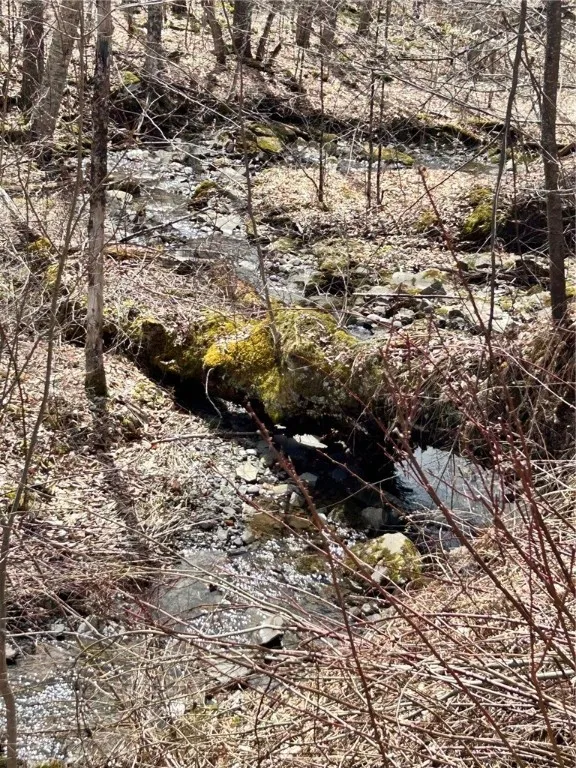 South Road, Plymouth, New York 13832, Plymouth, New York 13832, ,Land,For Sale,South Road, Plymouth, New York 13832,0,R1598632