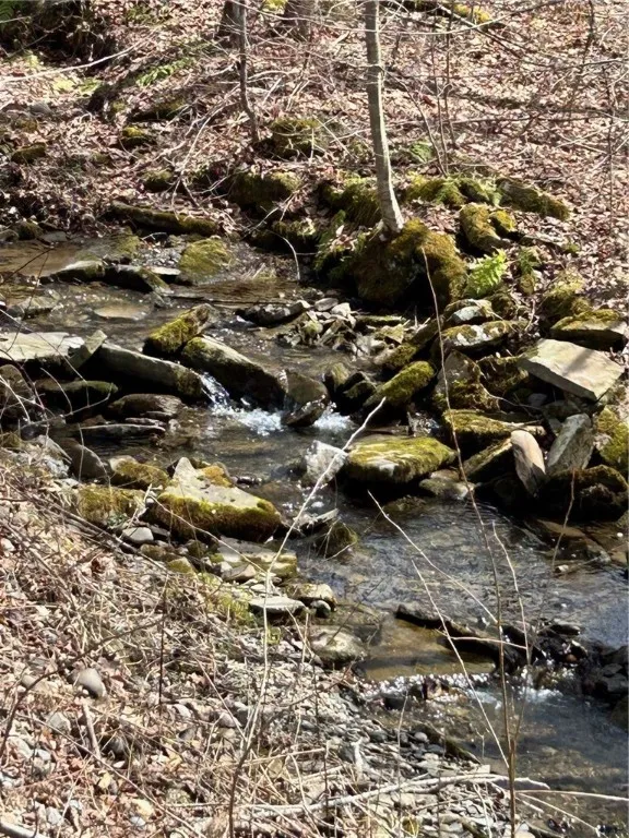 South Road, Plymouth, New York 13832, Plymouth, New York 13832, ,Land,For Sale,South Road, Plymouth, New York 13832,0,R1598632