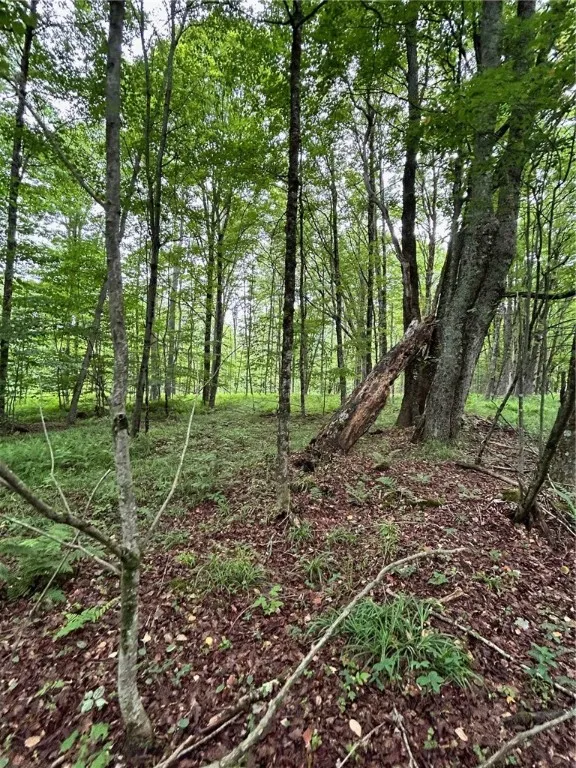 South Road, Plymouth, New York 13832, Plymouth, New York 13832, ,Land,For Sale,South Road, Plymouth, New York 13832,0,R1598632