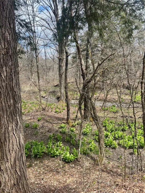 South Road, Plymouth, New York 13832, Plymouth, New York 13832, ,Land,For Sale,South Road, Plymouth, New York 13832,0,R1598632