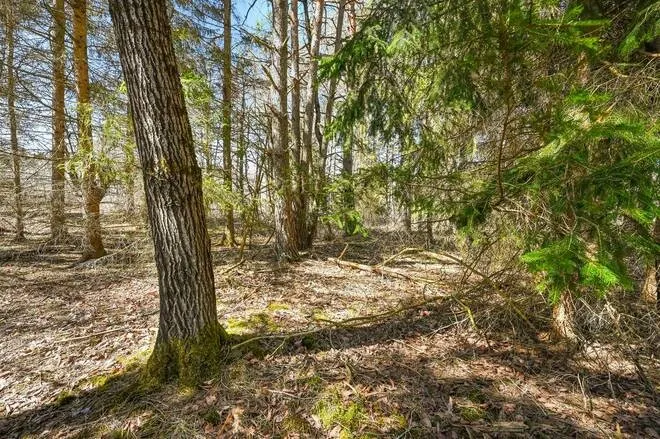 1776 Cr-17, Oxford, New York 13830, Oxford, New York 13830, ,Land,Closed,1776 Cr-17, Oxford, New York 13830,0,R1597162