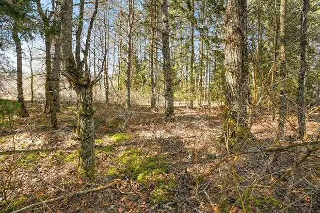 1776 Cr-17, Oxford, New York 13830, Oxford, New York 13830, ,Land,Closed,1776 Cr-17, Oxford, New York 13830,0,R1597162