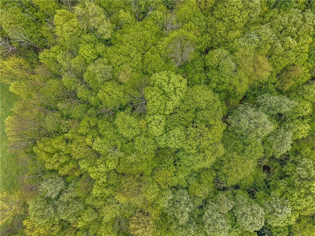 175 Bremm Road, Boylston, New York 13083, Boylston, New York 13083, ,Land,For Sale,175 Bremm Road, Boylston, New York 13083,0,R1599057