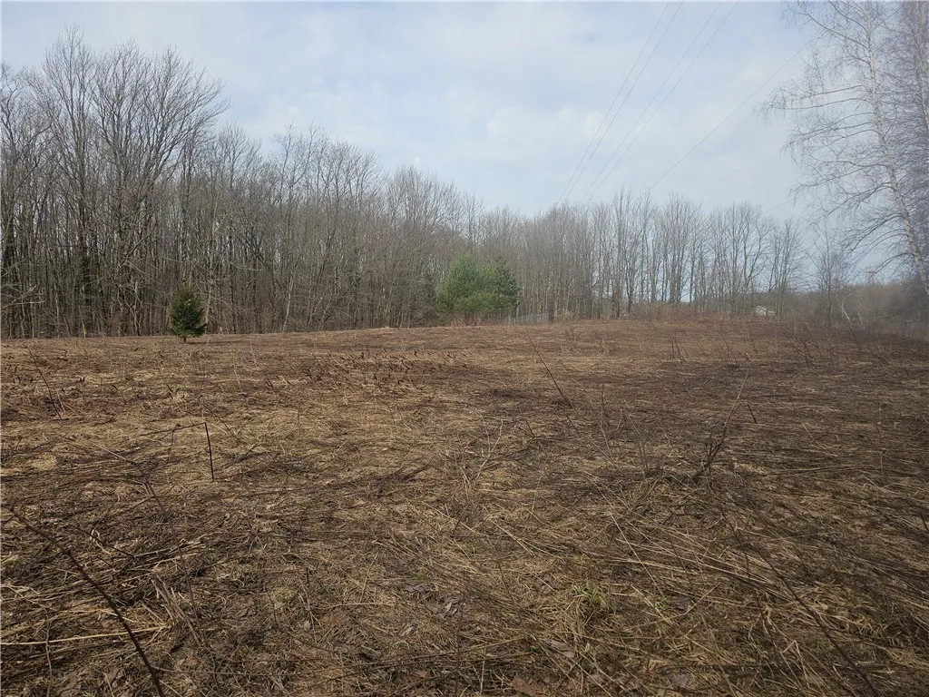 175 Bremm Road, Boylston, New York 13083, Boylston, New York 13083, ,Land,For Sale,175 Bremm Road, Boylston, New York 13083,0,R1599057