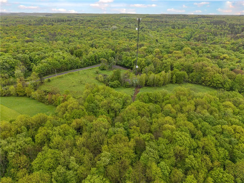 175 Bremm Road, Boylston, New York 13083, Boylston, New York 13083, ,Land,For Sale,175 Bremm Road, Boylston, New York 13083,0,R1599057
