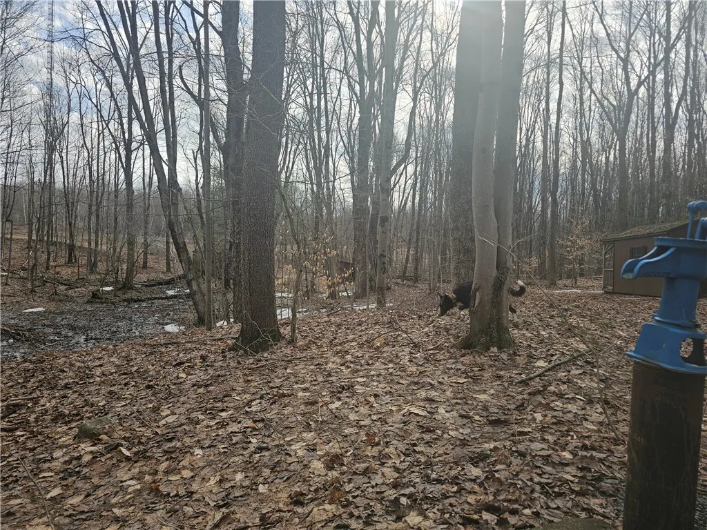 175 Bremm Road, Boylston, New York 13083, Boylston, New York 13083, ,Land,For Sale,175 Bremm Road, Boylston, New York 13083,0,R1599057