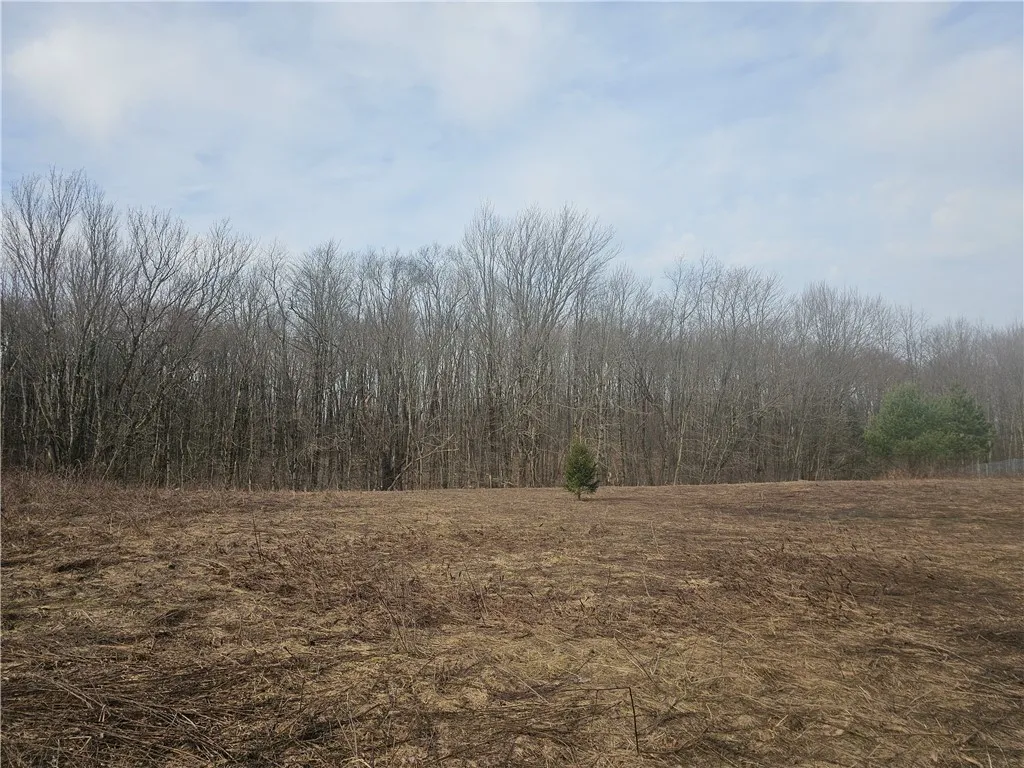 175 Bremm Road, Boylston, New York 13083, Boylston, New York 13083, ,Land,For Sale,175 Bremm Road, Boylston, New York 13083,0,R1599057