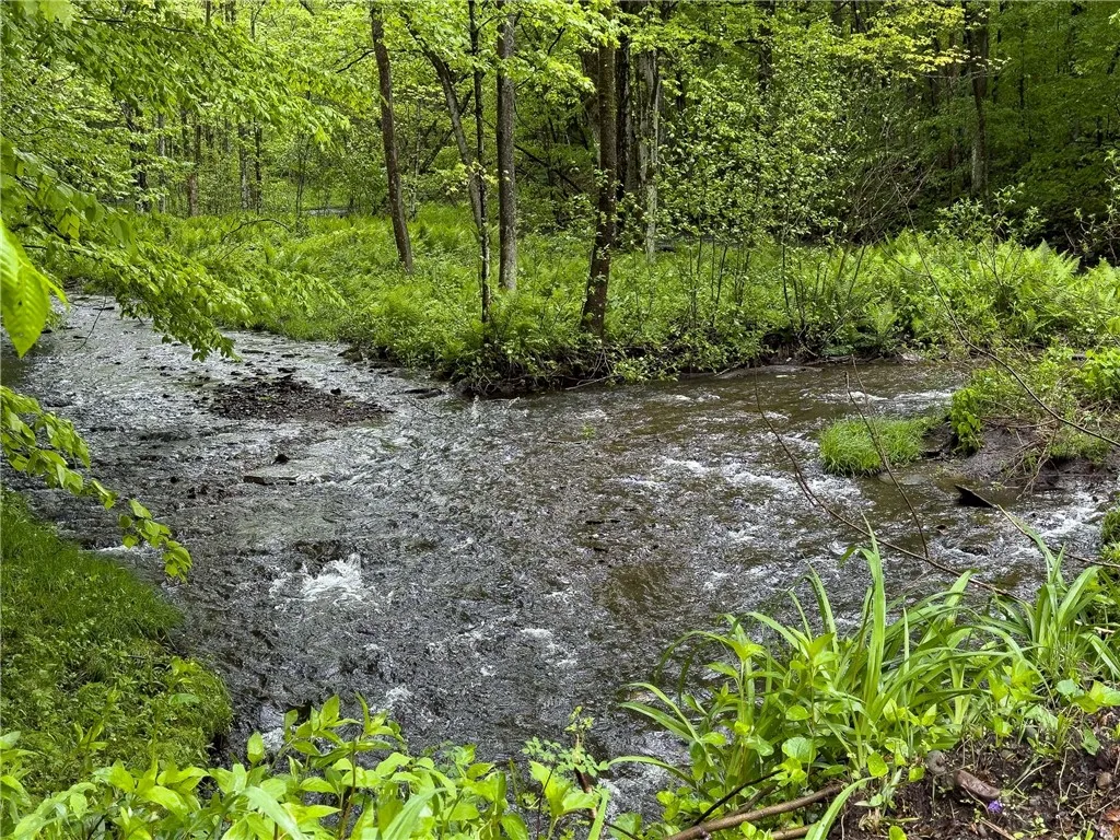 175 Bremm Road, Boylston, New York 13083, Boylston, New York 13083, ,Land,For Sale,175 Bremm Road, Boylston, New York 13083,0,R1599057