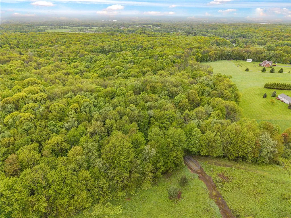 175 Bremm Road, Boylston, New York 13083, Boylston, New York 13083, ,Land,For Sale,175 Bremm Road, Boylston, New York 13083,0,R1599057