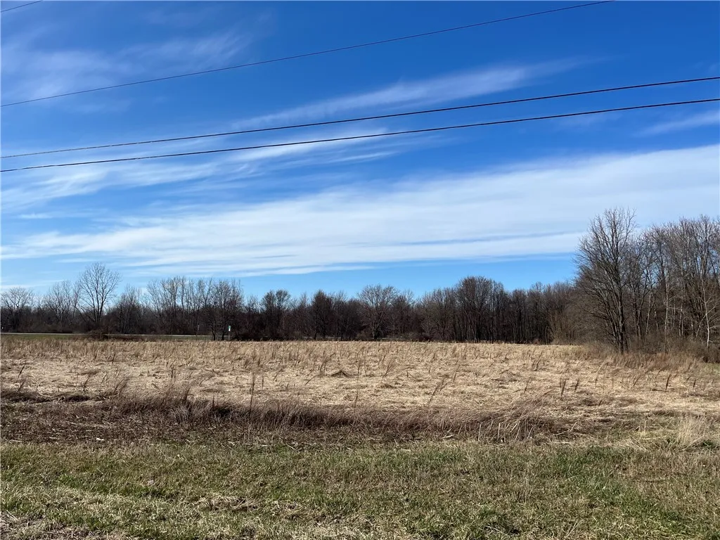 6107 Wager Road, Wolcott, New York 14590, Wolcott, New York 14590, ,Land,For Sale,6107 Wager Road, Wolcott, New York 14590,R1598641