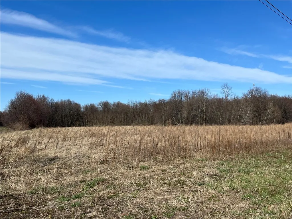 6107 Wager Road, Wolcott, New York 14590, Wolcott, New York 14590, ,Land,For Sale,6107 Wager Road, Wolcott, New York 14590,R1598641
