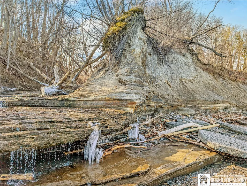 Creek along property line