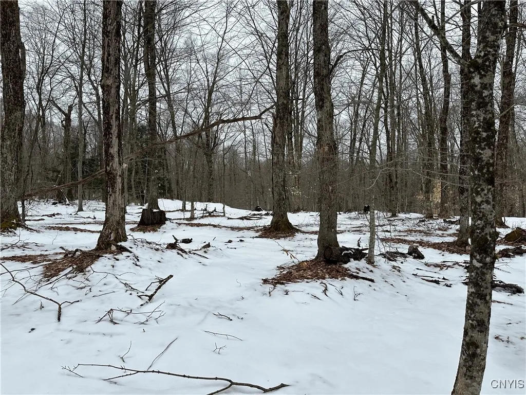 3267 Osceola Road, Lewis, New York 13489, Lewis, New York 13489, 2 Bedrooms Bedrooms, ,1 BathroomBathrooms,Land,Closed,3267 Osceola Road, Lewis, New York 13489,S1598422