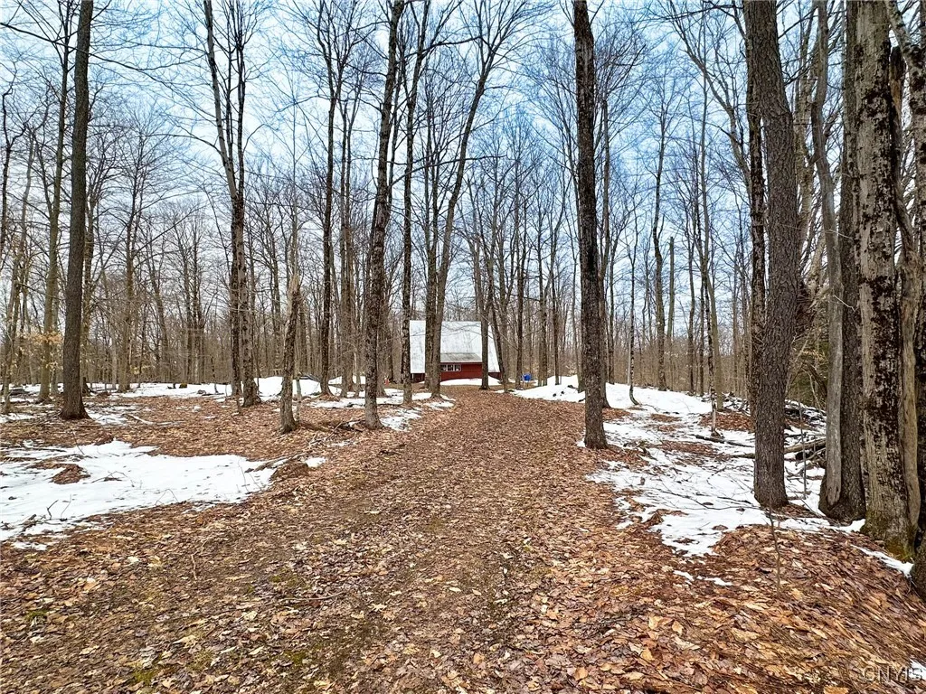 3267 Osceola Road, Lewis, New York 13489, Lewis, New York 13489, 2 Bedrooms Bedrooms, ,1 BathroomBathrooms,Land,Closed,3267 Osceola Road, Lewis, New York 13489,S1598422