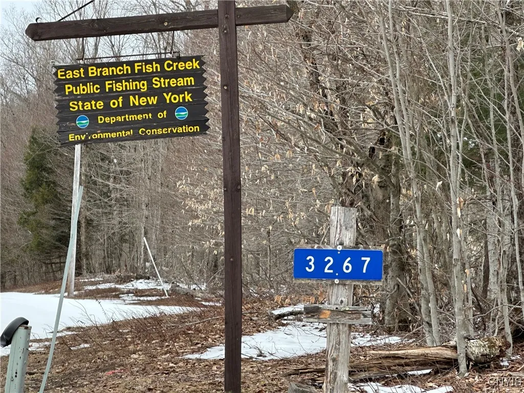 3267 Osceola Road, Lewis, New York 13489, Lewis, New York 13489, 2 Bedrooms Bedrooms, ,1 BathroomBathrooms,Land,Closed,3267 Osceola Road, Lewis, New York 13489,S1598422
