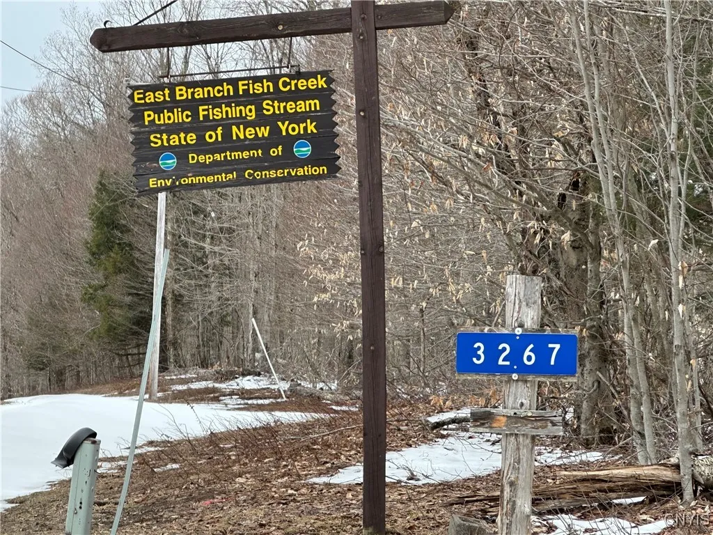 3267 Osceola Road, Lewis, New York 13489, Lewis, New York 13489, 2 Bedrooms Bedrooms, ,1 BathroomBathrooms,Land,Closed,3267 Osceola Road, Lewis, New York 13489,S1598422